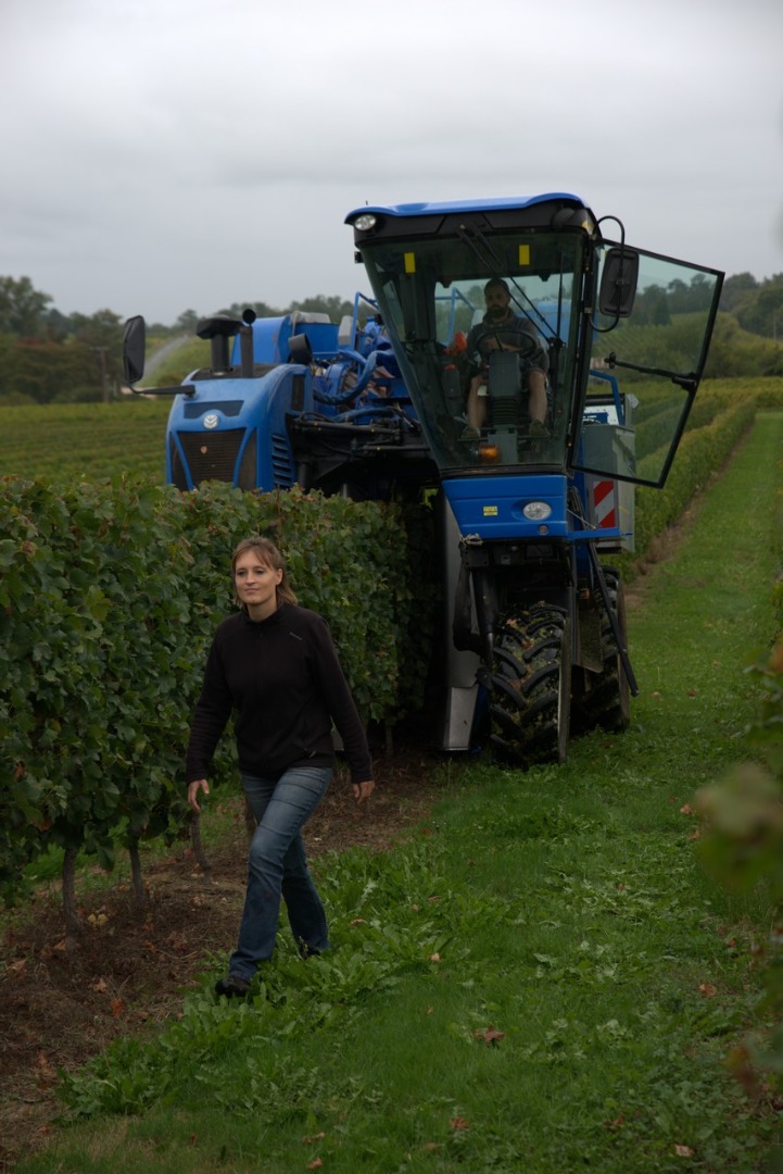 Domaine viticole à Faleyras près de Bordeaux