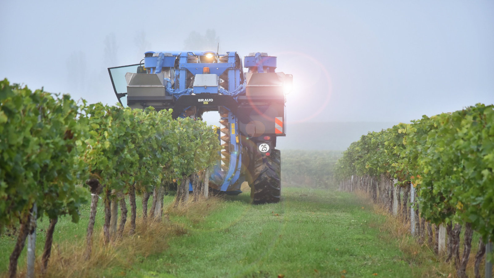 Entretien des Vignobles Nadau