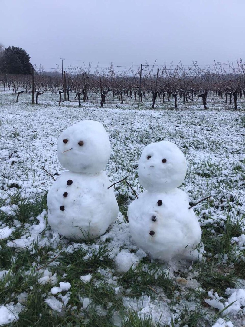 Domaine viticole à Faleyras