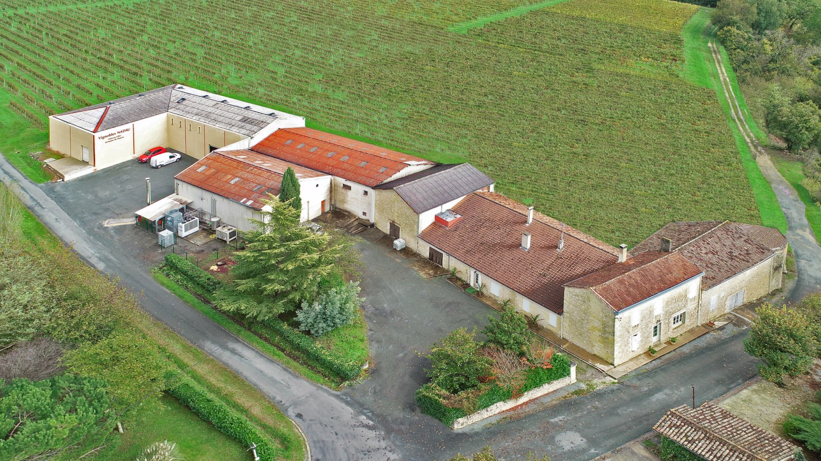 Les Vignobles Nadau à Faleyras